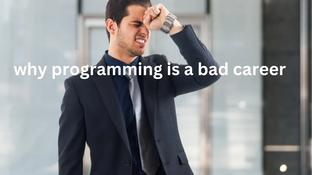 why programming is a bad career